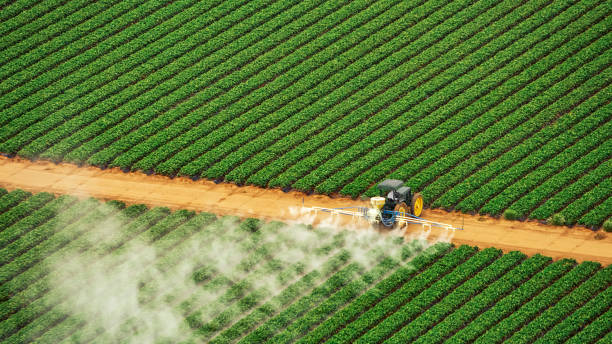 Best Mosquito Control Services  in Gap, PA